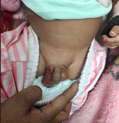 Tulip New Born & Child Care Center & gallery image